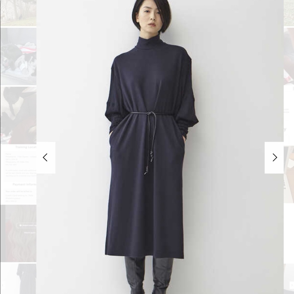 NWT Akira Naka Gorgeous elegant transparent sleeve wool dress